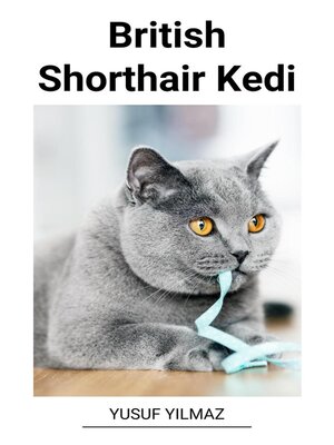 cover image of British Shorthair Kedi